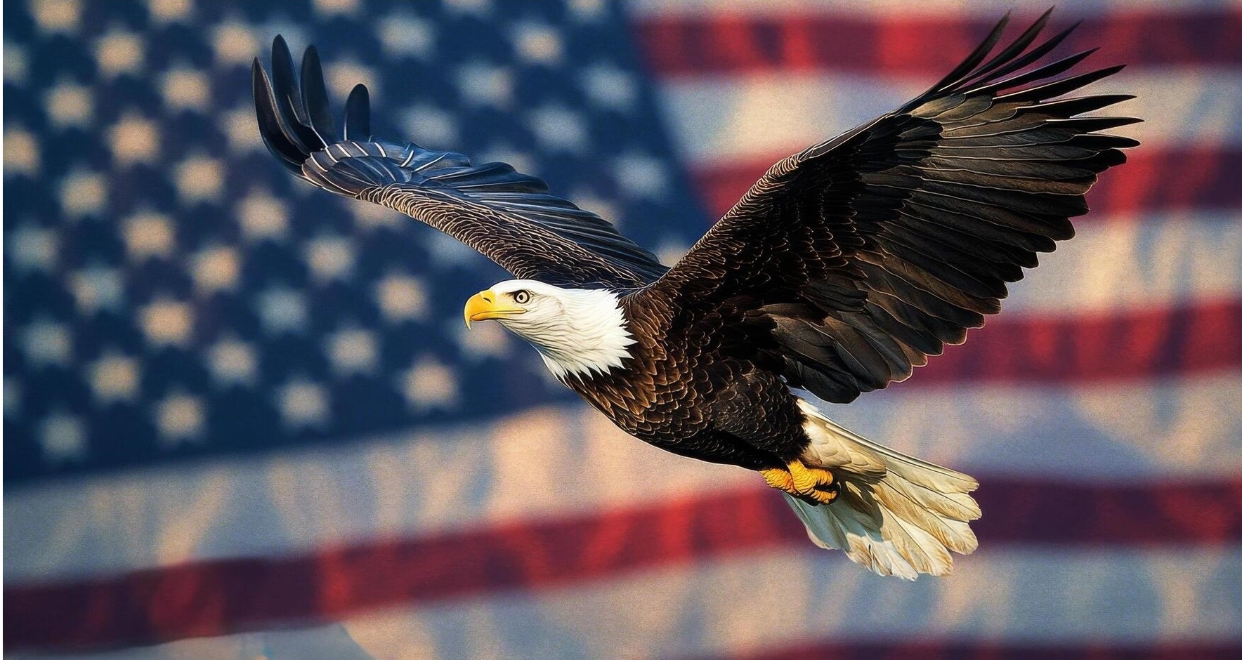 Golden Wolf Power Supplement Benefits